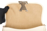 0173. Louis Vuitton Buci Bag, Silver Hardware9