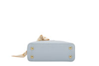 0348. Louis Vuitton Mini Capucines, Karung Handle, Gold Hardware