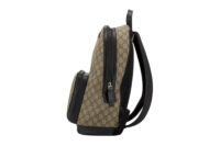 0353. Gucci Eden GG Supreme Coated Canvas Backpack