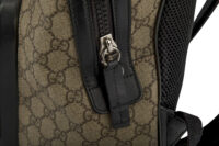 0353. Gucci Eden GG Supreme Coated Canvas Backpack