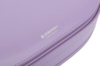 0392. Burberry Calfskin Small Olympia Bag, Silver Hardware10