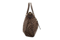 0406. Louis Vuitton Evora, Damier Ebene Brown Canvas Tote, Gold Hardware4