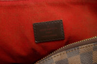 0406. Louis Vuitton Evora, Damier Ebene Brown Canvas Tote, Gold Hardware9