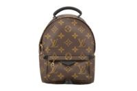 0459. Louis Vuitton Palm Spring Super Mini Backpack, Gold Hardware1