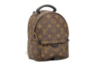 0459. Louis Vuitton Palm Spring Super Mini Backpack, Gold Hardware2