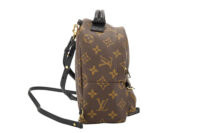 0459. Louis Vuitton Palm Spring Super Mini Backpack, Gold Hardware3