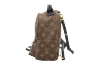 0459. Louis Vuitton Palm Spring Super Mini Backpack, Gold Hardware4