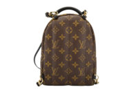 0459. Louis Vuitton Palm Spring Super Mini Backpack, Gold Hardware5