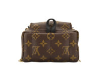 0459. Louis Vuitton Palm Spring Super Mini Backpack, Gold Hardware6
