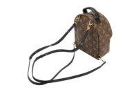 0459. Louis Vuitton Palm Spring Super Mini Backpack, Gold Hardware7