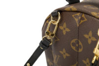 0459. Louis Vuitton Palm Spring Super Mini Backpack, Gold Hardware8