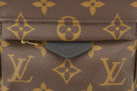 0459. Louis Vuitton Palm Spring Super Mini Backpack, Gold Hardware9