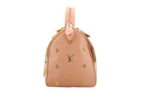 0507. Louis Vuitton Speedy 30 Fragonard Master Collection, Gold Hardware12