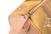0507. Louis Vuitton Speedy 30 Fragonard Master Collection, Gold Hardware6