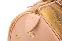 0507. Louis Vuitton Speedy 30 Fragonard Master Collection, Gold Hardware9