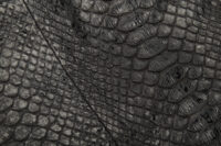 0597. Chanel Large Bucket Hobo, Shiny Black Python, Ruthenium hardware8