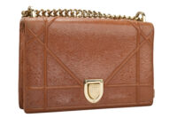 0661. Dior Diorama Small Brown Crinkled Leather, Gold Hardware2