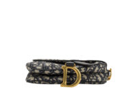 0677. Dior Mini Saddle Oblique Canvas, Gold Hardware6
