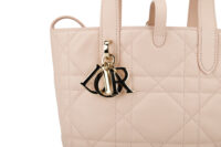 0693. Christian Dior Small Toujours Vertical Tote Bag7