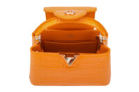 0707. Louis Vuitton Mini Capucines Orange Alligator Leather, Silver Hardware14