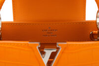 0707. Louis Vuitton Mini Capucines Orange Alligator Leather, Silver Hardware9