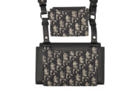0710. Dior Oblique Canvas Elite Dual Pouch, Ruthenium Hardware2