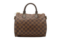 0729. Louis Vuitton Speedy Classic 25 Damier Ebene, Gold Hardware1