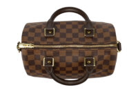 0729. Louis Vuitton Speedy Classic 25 Damier Ebene, Gold Hardware11