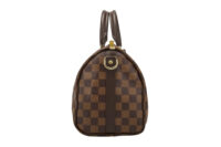 0729. Louis Vuitton Speedy Classic 25 Damier Ebene, Gold Hardware2