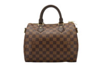 0729. Louis Vuitton Speedy Classic 25 Damier Ebene, Gold Hardware3