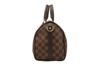 0729. Louis Vuitton Speedy Classic 25 Damier Ebene, Gold Hardware5