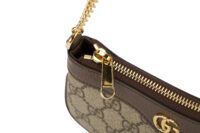 0773. Gucci Ophidia Mini Shoulder Bag GG Supreme Canvas11