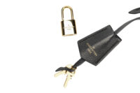 0797. Louis Vuitton Speedy 25 Black Empriente Monogram , Gold Hardware13