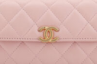 0845. Chanel Long Wallet on Chain (WOC) Top Handle Bag, Pink Quilted Lambskin, Gold Hardware8